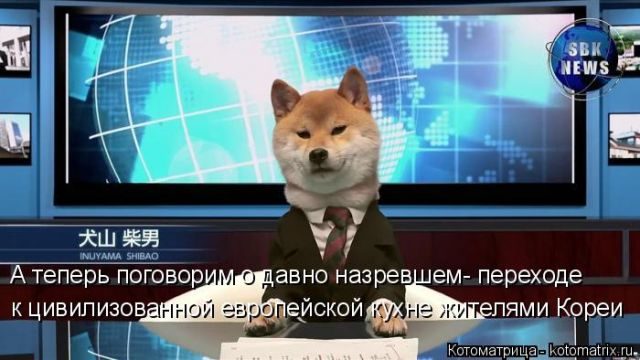 Смешные котоматрицы)) Смешные котоматрицы))