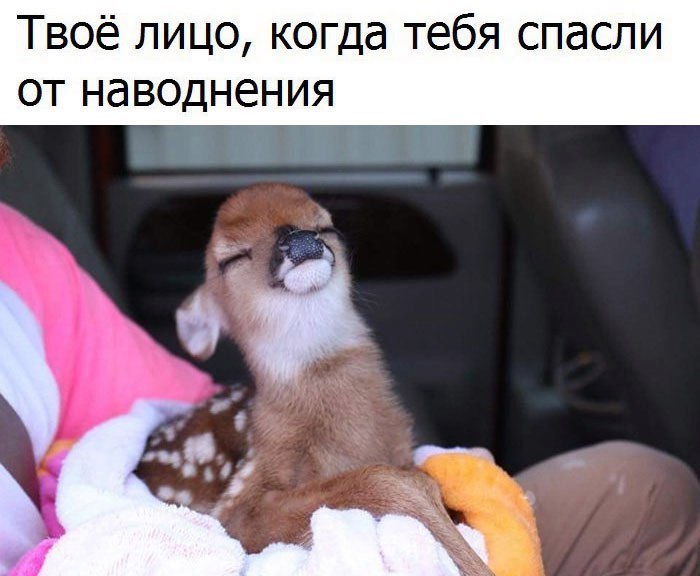 Эмоциональные фото и картинки с надписями со смыслом (11 фото) Эмоциональные фото и картинки с надписями со смыслом (11 фото)