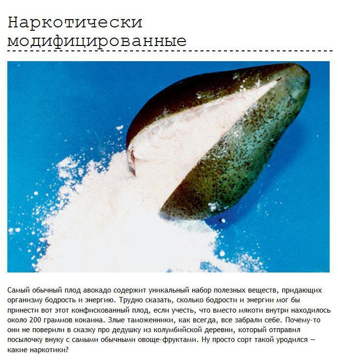 Неудачи контрабандистов и нелегалов контрабанда, неудачи, прикол