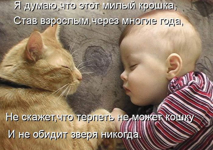 Позитив дня: КОТОПЯТНИЦА Позитив дня: КОТОПЯТНИЦА