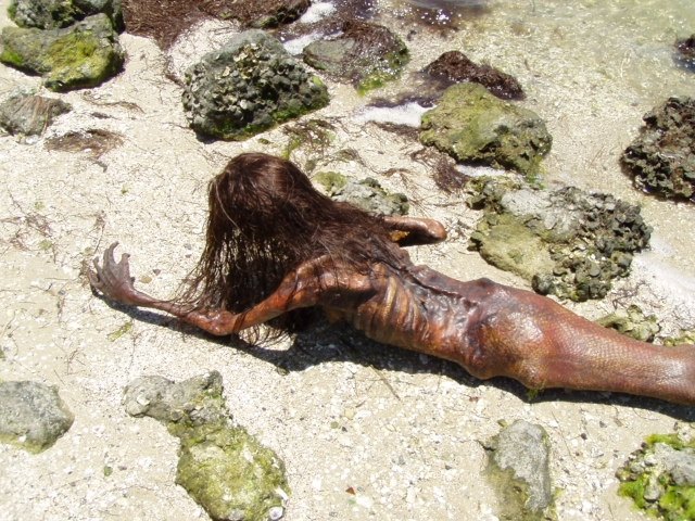 Мертвая русалка и еще 5 удивительных мистификаций, в которые все поверили
