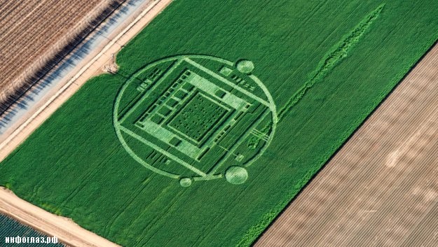 agrograma-california-cortesa