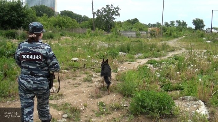 Стала известна судьба 67-летнего пенсионера, пропавшего в Канске после приступа эпилепсии