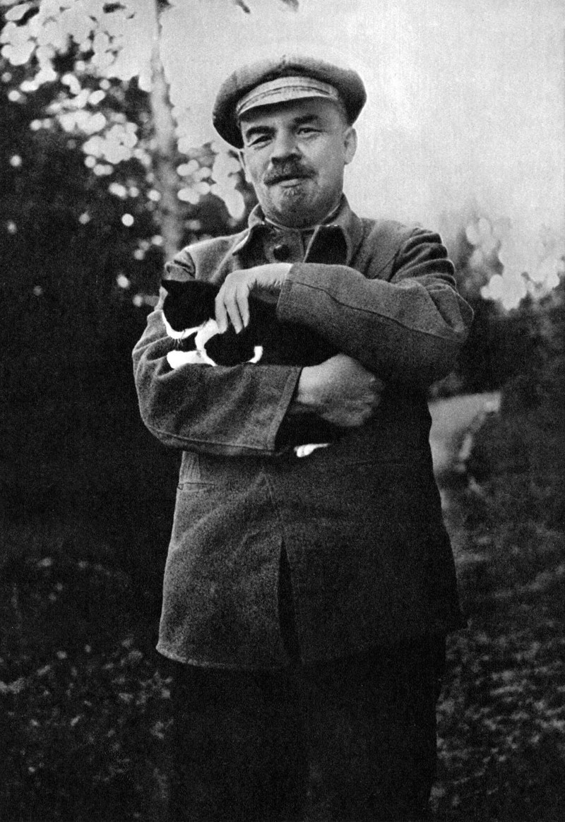 Ленин и Коты Ленин и Коты