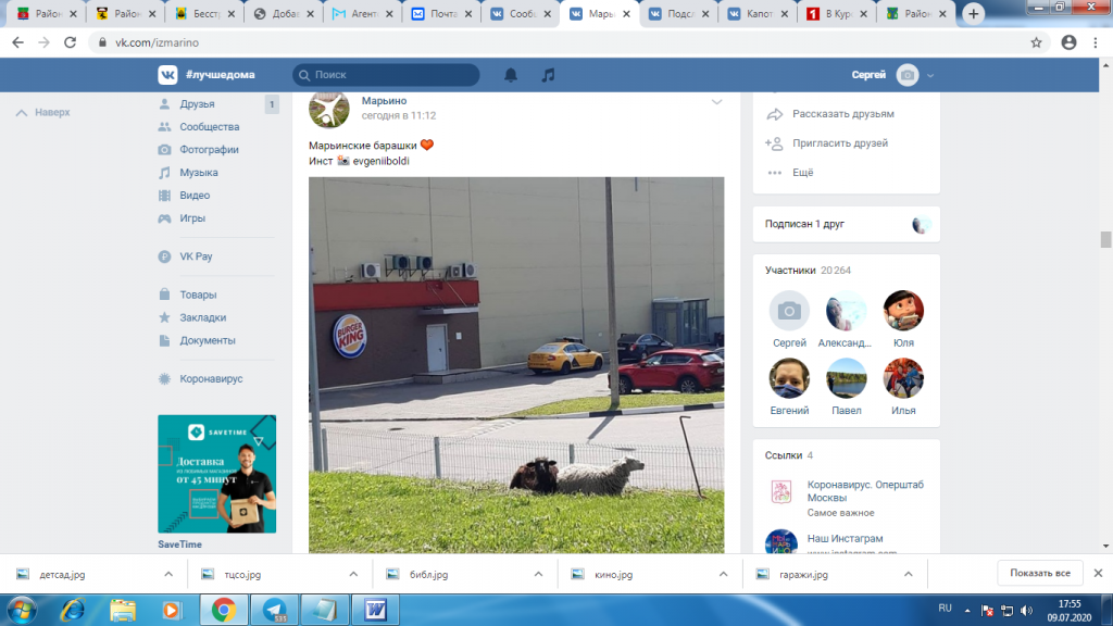 Отдыхающих на газоне баранов заметили в Марьине