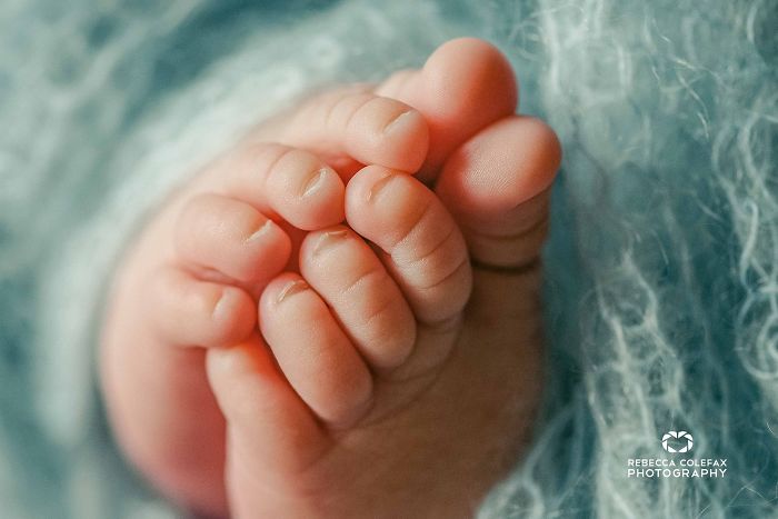 Photographer Takes Pictures Of Babies As Never Seen Before