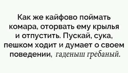 КОМАРАМ НЕ ДАЮ КОМАРАМ НЕ ДАЮ