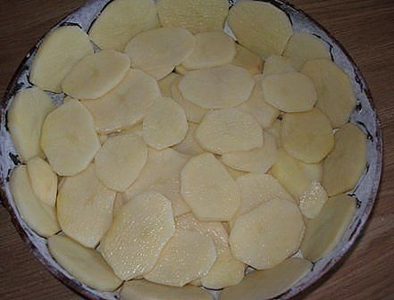 РїРёСЂРѕРі1 (441x336, 105Kb)
