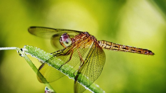 Подборка интересных фактов