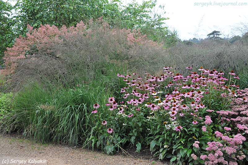 Trantham Gardens 106.JPG Trantham Gardens 106.JPG