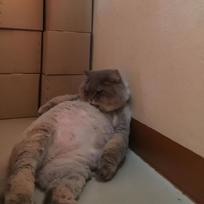 Суперзвезда из Таиланда