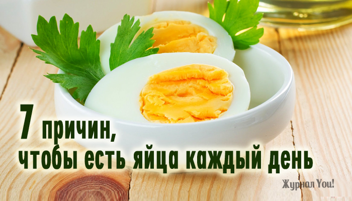 Что происходит в организме, если яйца каждый день присутствуют в рационе Что происходит в организме, если яйца каждый день присутствуют в рационе