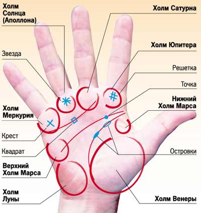 http://interesno.cc/image/48759