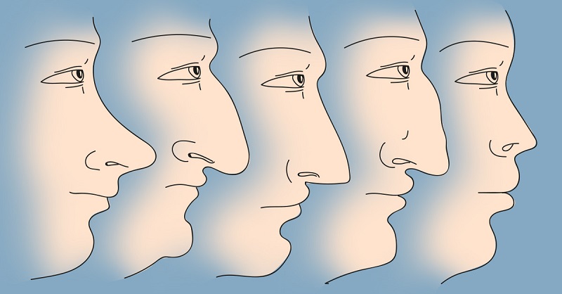 Картинки по запросу Что форма носа может сказать о вашей личности?