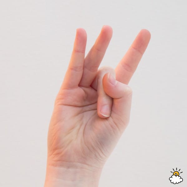 embeddedIMG_handYoga_850px_8-600x600