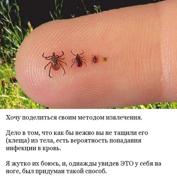 Татьяна Зайцева: «Мой муж всегда тратит на сестру ровно Сценарий свадьбы на природе. Как провести первый или второй день