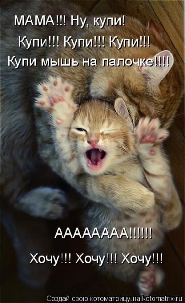 Котоматрицы великолепные, каждая с кусочком тепла, позитива и улыбкой! Котоматрицы великолепные, каждая с кусочком тепла, позитива и улыбкой!
