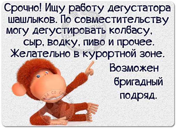 Смешные фразы в открытках 18