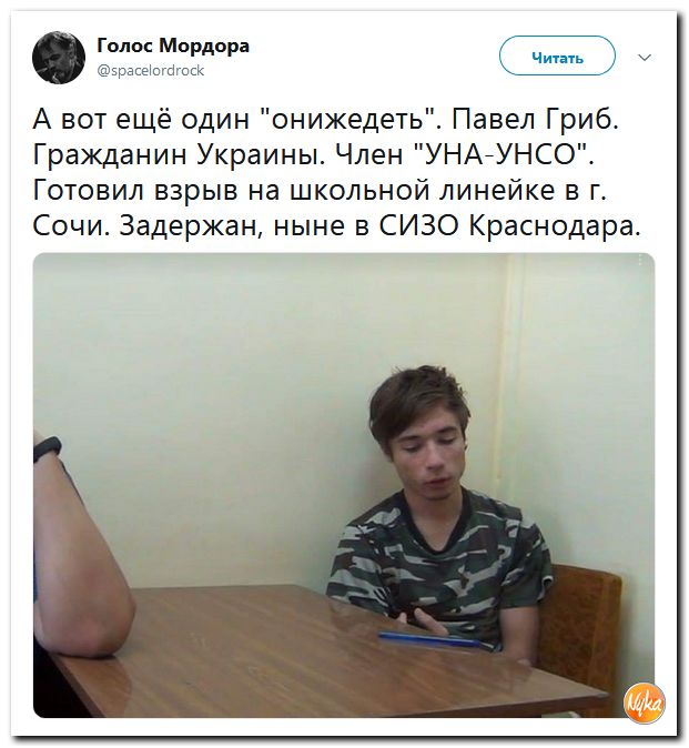 Соцсети жгут! С юмором о злободневном в ехидных скриншотах (политсатира) Соцсети жгут! С юмором о злободневном в ехидных скриншотах (политсатира)