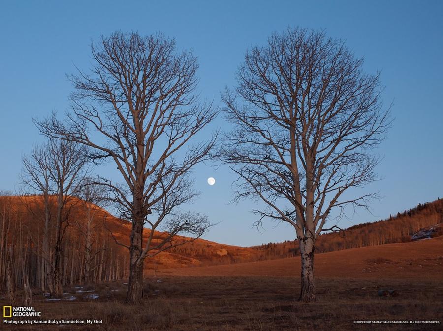 Лучшие фотографии National Geographic этой зимы Лучшие фотографии National Geographic этой зимы
