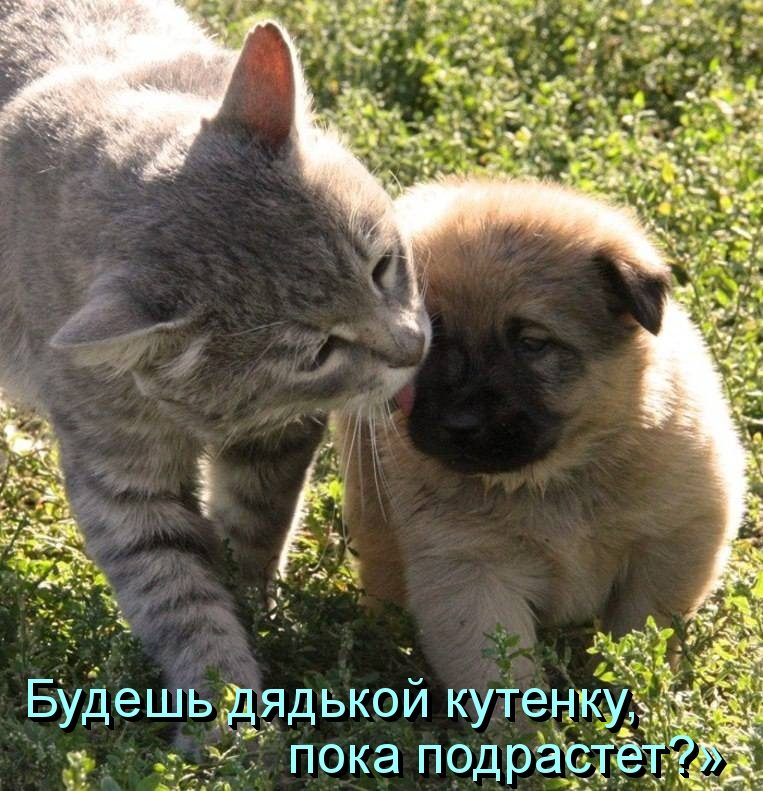Дружба навеки