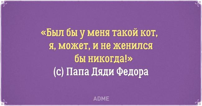 20 открыток о нелегкой жизни котов и их владельцев