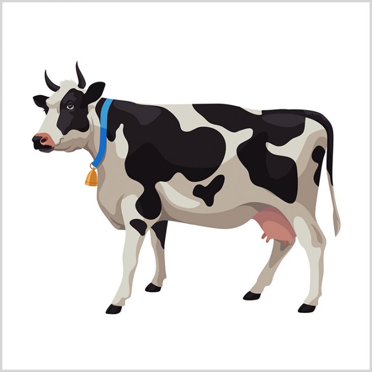 «Я же сказал тебе: купи корову!» «Я же сказал тебе: купи корову!»