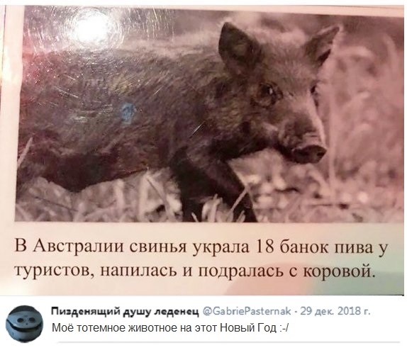 Соцсети жгут! Прикольные комментарии от народных юмористов Соцсети жгут! Прикольные комментарии от народных юмористов