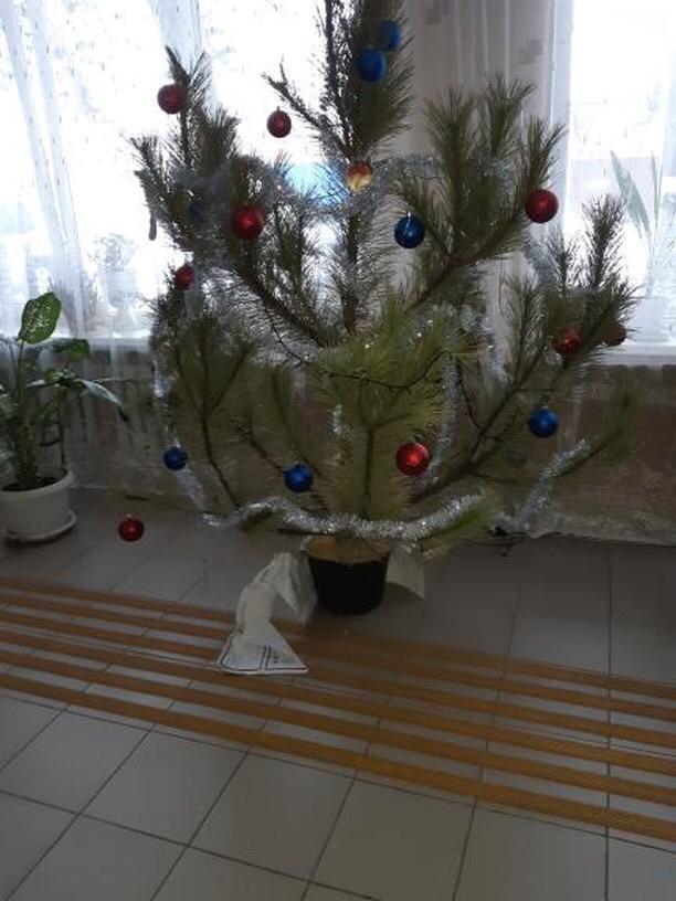 https://360tv.ru/media/uploads/article_images/2019/01/25363_%D0%B4%D0%BE%D0%BA%D0%B81.jpg