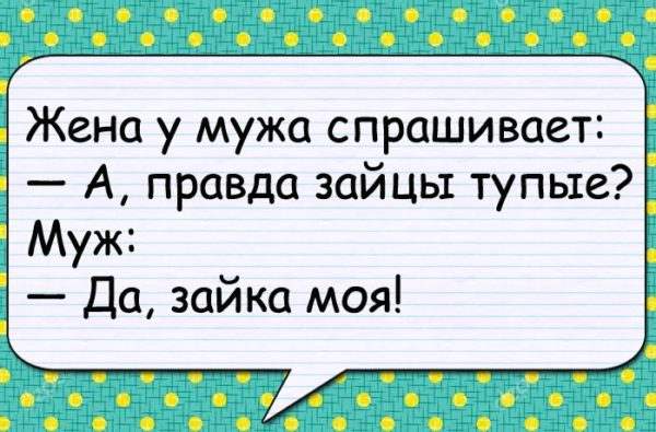 Анекдот про одну семью Анекдот про одну семью