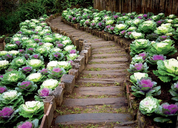      ,   landscape-project.com