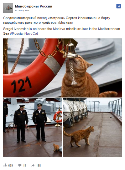 Кота, участника похода ВМФ РФ к берегам Сирии, назвали Сергеем Ивановичем Кота, участника похода ВМФ РФ к берегам Сирии, назвали Сергеем Ивановичем