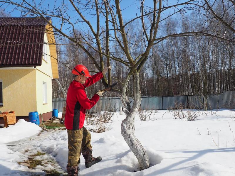 Календарь огородника на март