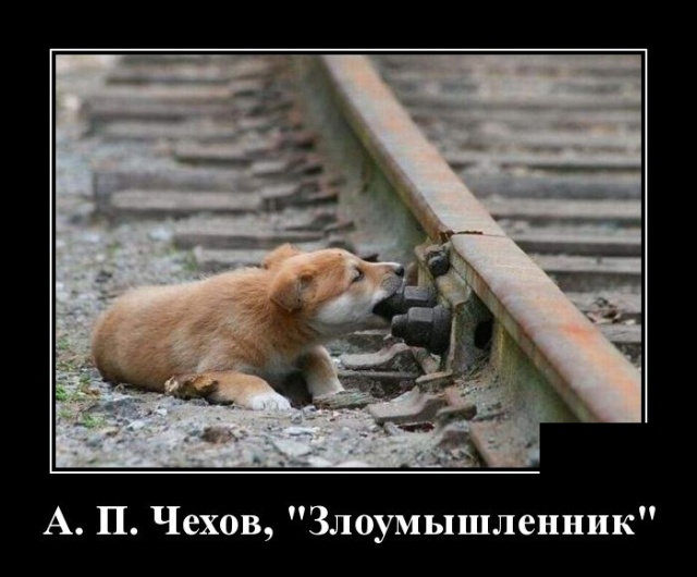 Забавные и новые демотиваторы. 545 ( 30 фото ) Забавные и новые демотиваторы. 545 ( 30 фото )