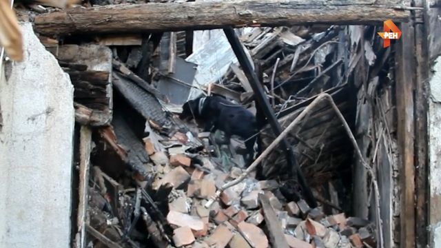 Онлайн смотреть новости мд