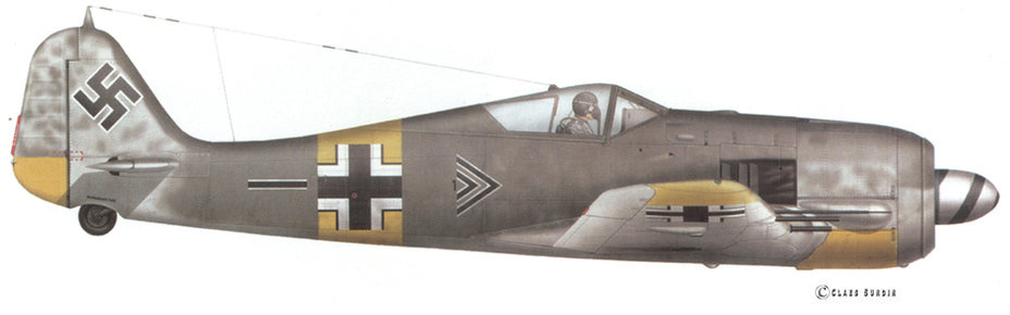 Fw 190A-6 W.Nr. 550 528, самолёт-ветеран с непростой судьбой. Сначала он попал в Stab I./JG 54, на нём летал командир группы гауптман Хорст Адемайт (Horst Ademeit), ас с 166 победами. После планового ремонта летом 1944 года самолёт попал в Stab II./JG 54 — и на нём стал летать командир группы майор Рудорффер. Самолёт был потерян 15 декабря 1944 года, когда вылетевший на нём молодой пилот унтер-офицер Вальтер Леве (Uffz. Walter Lewe) был сбит в бою с «Аэрокобрами» и погиб. Художник — Клаес Сундин - Рекорды Эриха Рудорффера: от Туниса до Прибалтики | Военно-исторический портал Warspot.ru