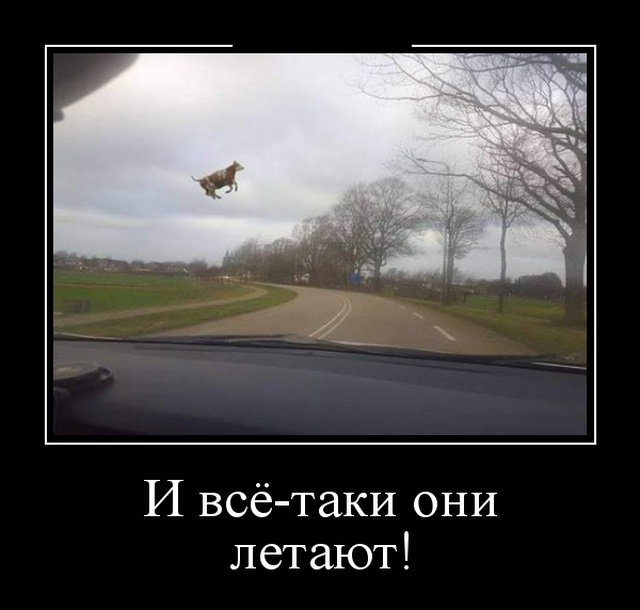 Забавные и новые демотиваторы. 545 ( 30 фото ) Забавные и новые демотиваторы. 545 ( 30 фото )