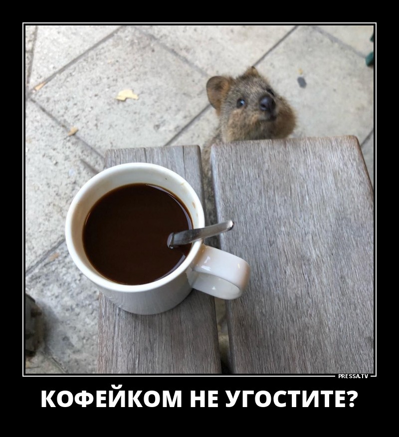 Новые позитивные демотиваторы о жизни Новые позитивные демотиваторы о жизни