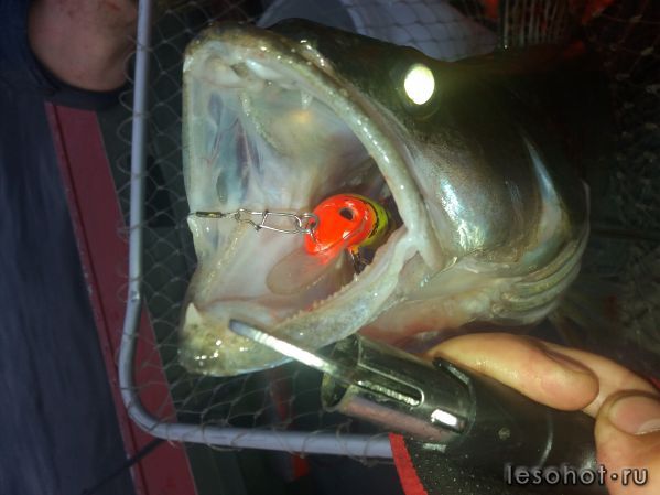 Одним слово Море! Одним слово Море!