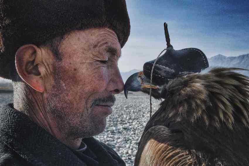 Лучшие фото с 2016 iPhone Photography Awards Лучшие фото с 2016 iPhone Photography Awards