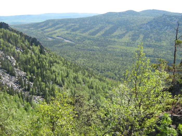 ��������� ������ �����, ��������� ������ ������ �� ������ ��������� � ���������� ��������.