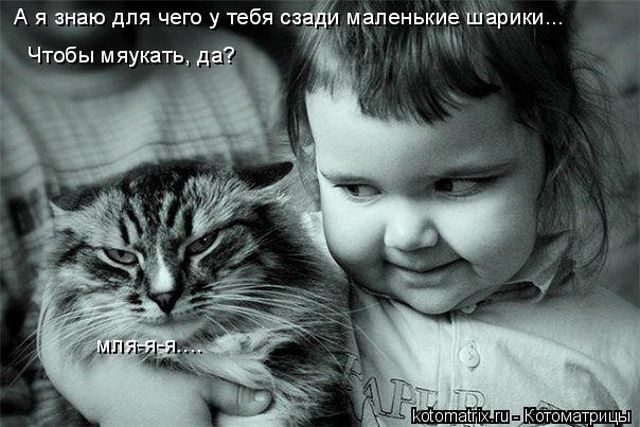 Смешные котоматрицы)) Смешные котоматрицы))