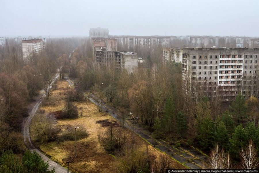 Мёртвый город Припять. Джунгли Чернобыля Мёртвый город Припять. Джунгли Чернобыля