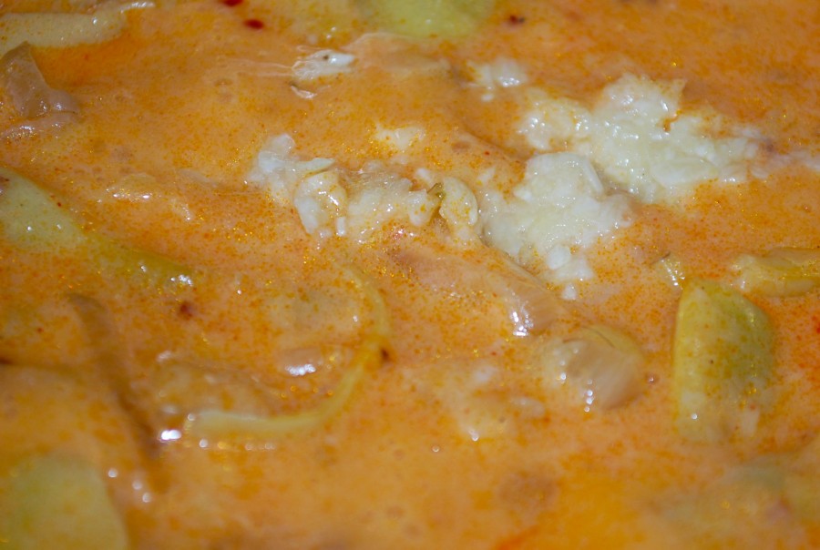 DSC_5110.jpg DSC_5110.jpg