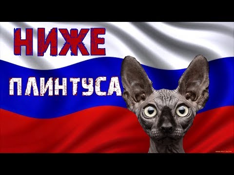 Кот Костян: Россия на ДНЕ демократии?