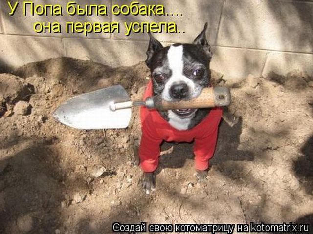 Смешные котоматрицы)) Смешные котоматрицы))