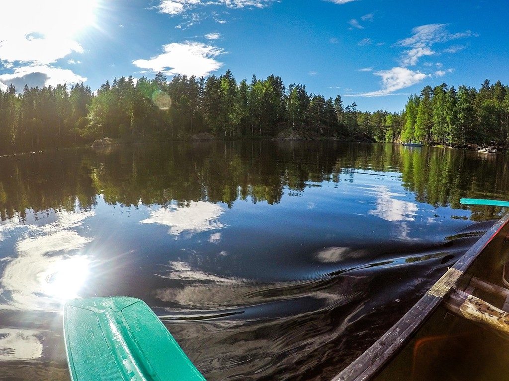 Опыт соседей: как в Финляндии избавились от мусора в лесах и от лесных пожаров Опыт соседей: как в Финляндии избавились от мусора в лесах и от лесных пожаров