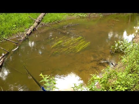 ловля щуки весной на спиннинг видео на днепре ловля щуки весной на спиннинг видео на днепре