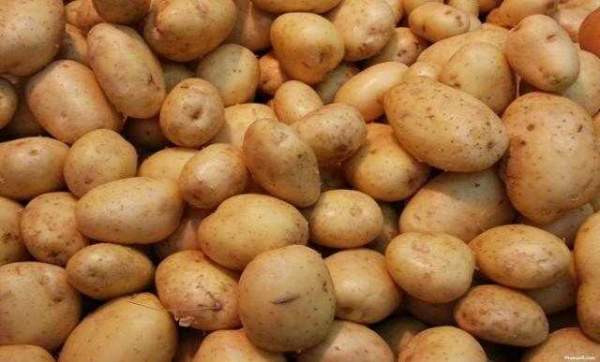 12 продуктов, которые не нужно хранить в холодильнике 12 продуктов, которые не нужно хранить в холодильнике