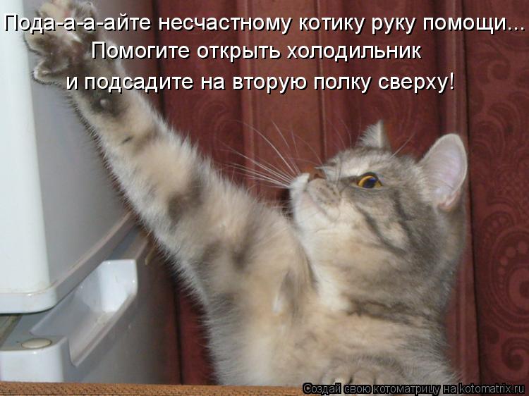 1 сентября Прикольные-поздравления. ру 1 сентября День знаний: интересный и необычный
